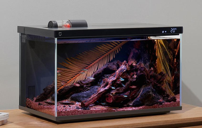 賭波:小米智能魚缸衆籌成功,智能養寵或成下一個風口