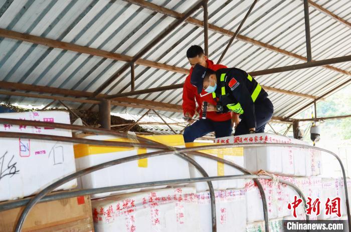 香港現金網:中緬邊境芒信通道1月貨運量同比增長35.8%創新高